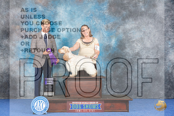 English Cocker Spaniel #5 WED WD Judge Douglas Johnson__JP_7138_Houston_2024_HR3