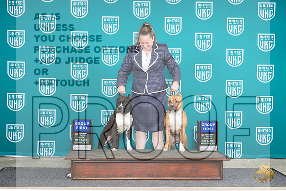 American Pit Bull Terrier #124 Fri G1 Valerie #134 Fri G1 Pam__JP_6340_BatesvilleMS_2024_HR3