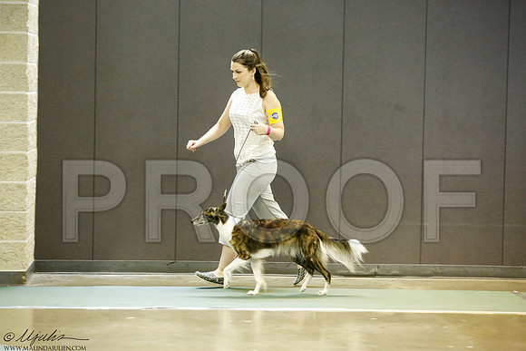 _J3L7347-BeltSep2014-HR