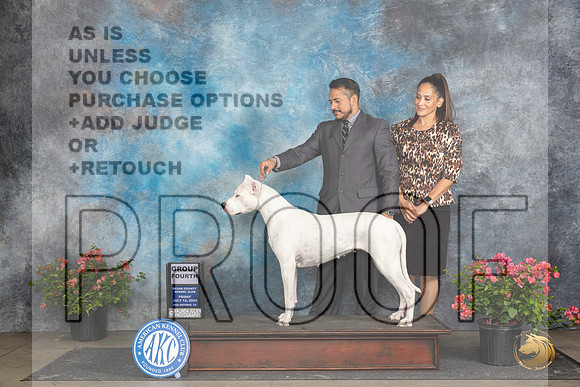 Dogo Argento #12 Fri G4 Judge Wendy G Willhauck__JP_4490_San Antonio_2024_HR3
