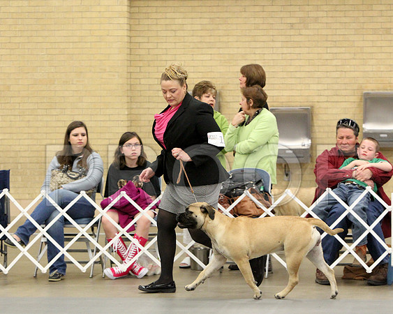 6-9PupSweeps-6851