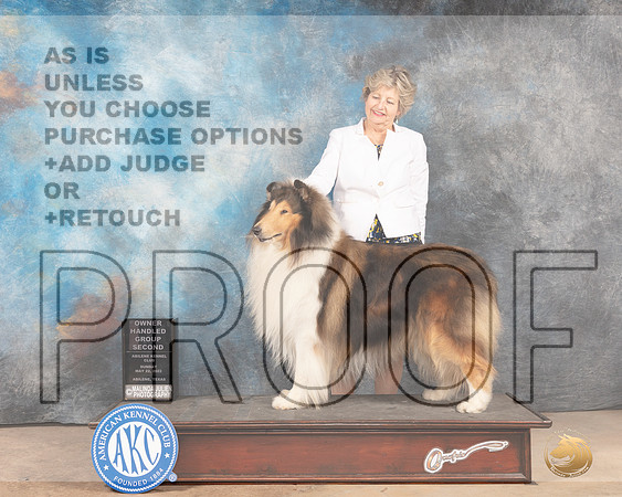 Collie Rough #7 Sun OHG2 Judge Pat Trotter-MMJ_5111-Abilene2022-HR3