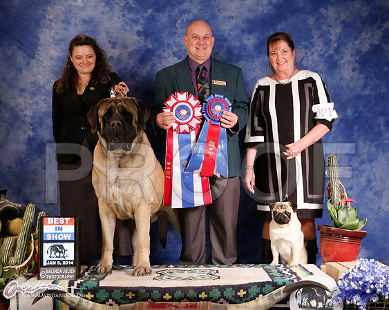 Mastiff-5733-GRJan14-HR