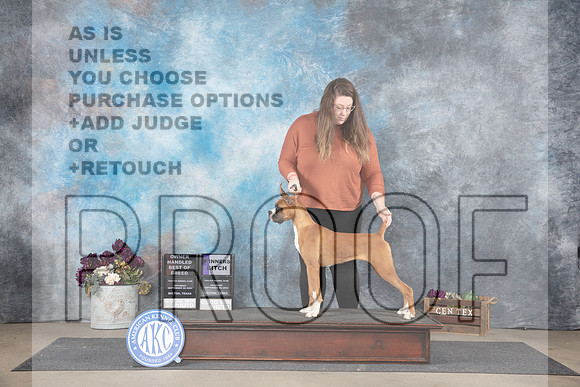 Boxer #14 Sat WBOHBOB Judge Joan Liebes__JP_6937_Belton_2024_HR3