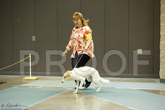 _J3L1081-BeltSep2014-HR