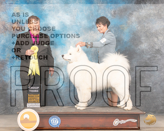 Samoyed #15 Sat G3 Judge Del RichardsMMJ_4520_Mdlnd2022_HR3