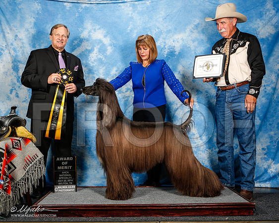 _ST_4605-2-AfgBeltonOct2014-HR3