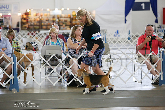 _JJ_2867-DallasJul2014-HR3