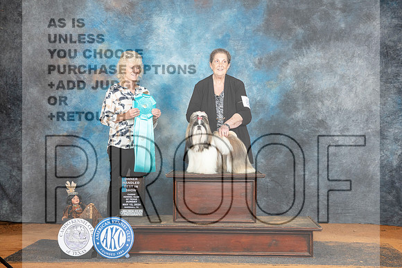 Shih Tzu #8 Sun OHBIS Judge Lisa Graser__JP_8969_MARSHALL_2024_HR3