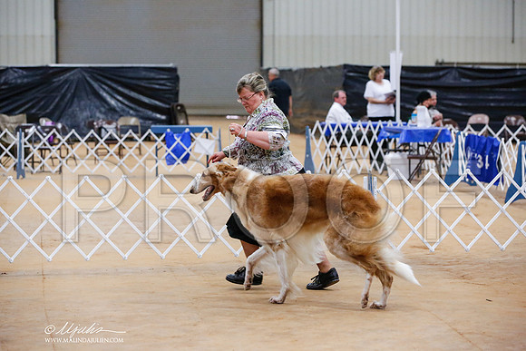 _JJ_8802-TxArJun2014-HR3