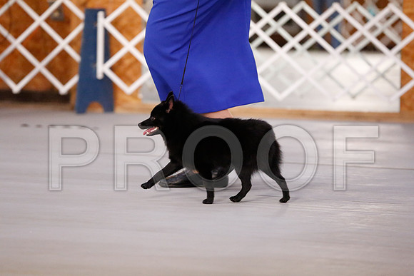 _RH_8703-CarlrolltonSept2014-HR3