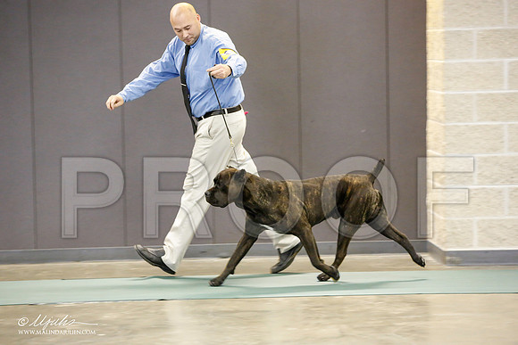 _JN_2183-BeltonJan2015-HR3