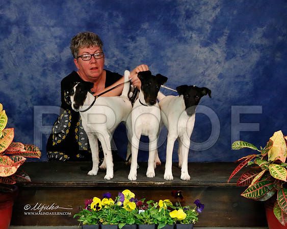 _J2_8666-NormNov2013-HR