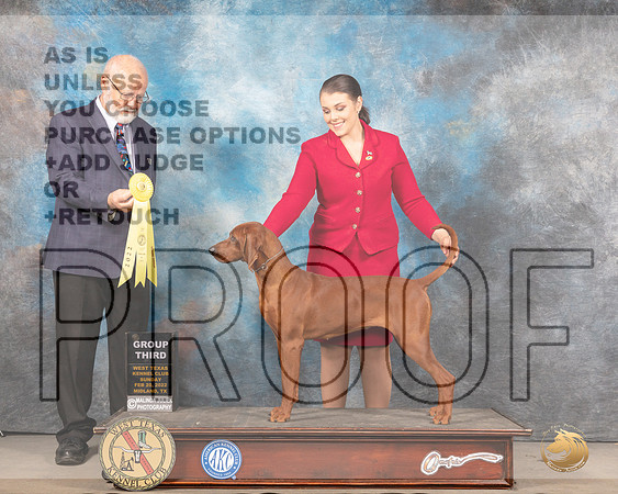 Redbone Coonhound #6 Sun G3 Judge Gary AndersenMMJ_5631_Mdlnd2022_HR3