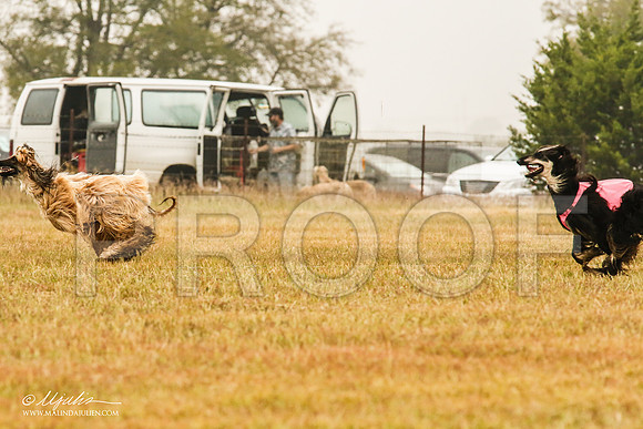 _MJ_3249-AfgBeltonOct2014-HR3