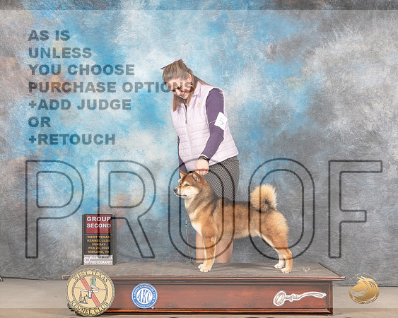 Shiba Inu #5 Sun G2 Judge Jim FehringMMJ_5695_Mdlnd2022_HR3