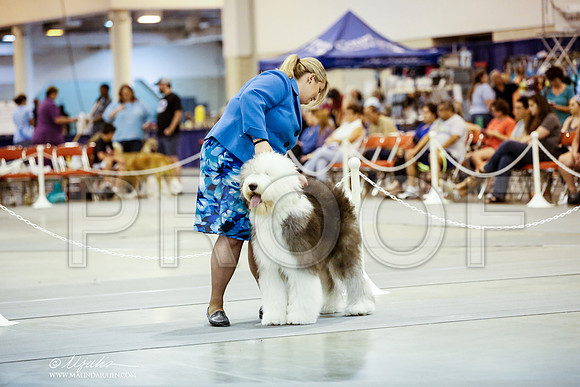_JN_9505-HstnJul2014-HR3