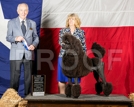 _ST_1616-AmarilloSep2014-HR3