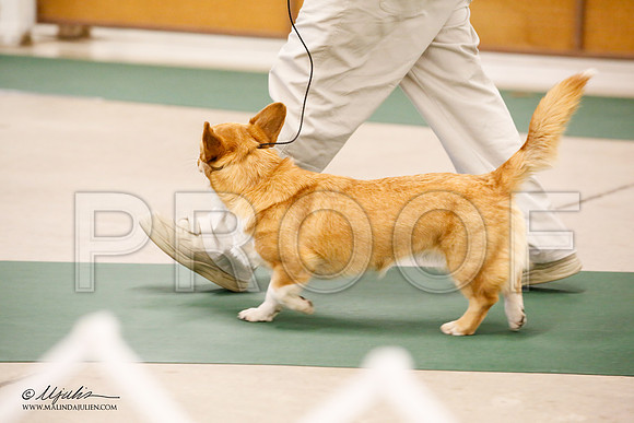 _JN_9844-NrmnNov2014-HR3