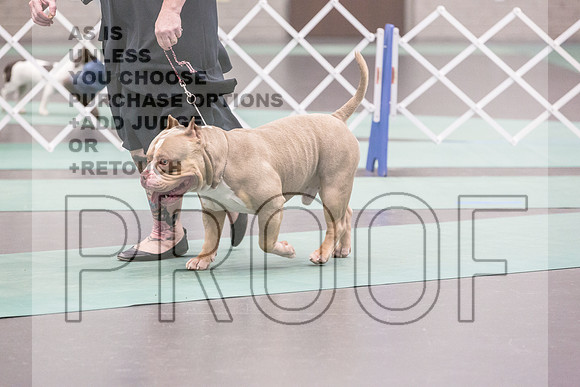 Bully Rings Fri Ring 1_JJL_6880_UKCLNGVIEWOCT2024_2024_HR3
