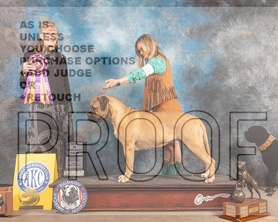 Golden Retriever #8 Fri BISS Judge Nancy Simmons-MMJ_6949-FW2022-HR3