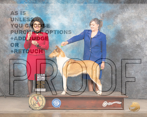 Collie Smooth #12 Sun WBBOS Judge Linda ClarkMMJ_5907_Mdlnd2022_HR3