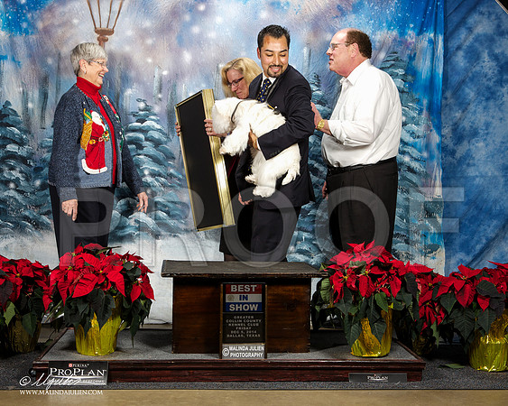 _ST_8399-DallasDec2014-HR3