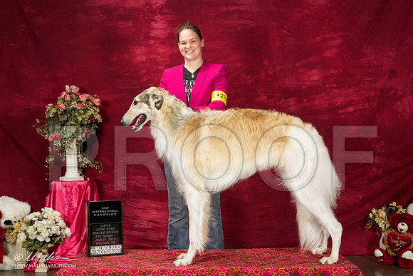 _ST_2554-BeltonJan2015IABCA-HR3