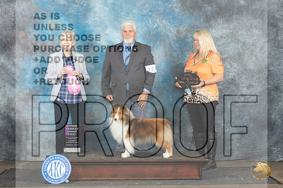 Shetland Sheepdog #12 Sat OHG1 Judge Sharon Newcomb__JP_3716_Lubbock_2024_HR3
