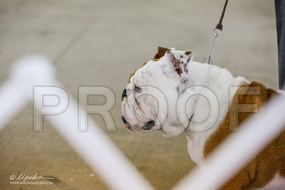 _RH_0001-AlamogordoOct2014-HR3