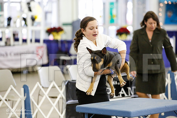 JN2812DallasDec14HR3