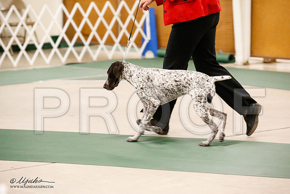 _JN_1916-NrmnNov2014-HR3
