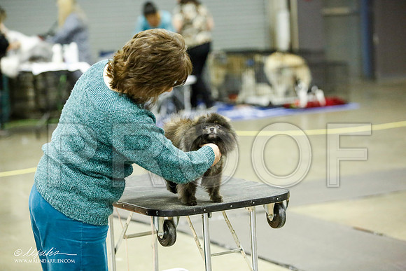 _JJ_5438-BeltonJan2015IABCA-HR3