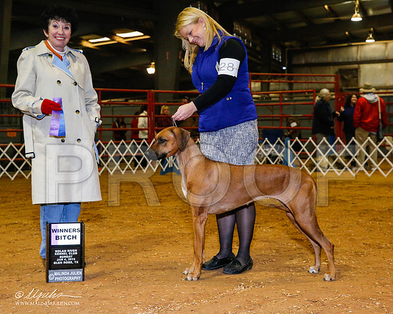 _RH_8922-2-GlenRoseJan2015-HR3