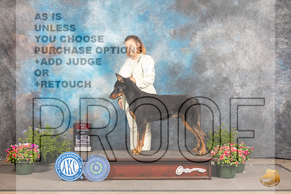 Beauceron #7 Fri BOS Judge Robert Shreve_MJ_0026_SA_2022_HR3