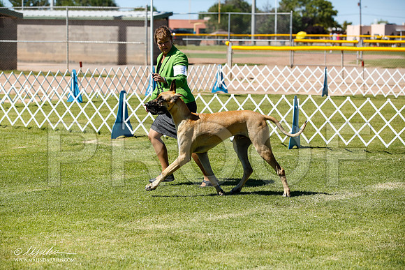 _JN_6438-AlamogordoOct2014-HR3