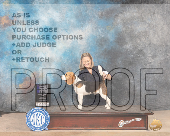 Beagle 15 #9 Fri WDM Judge Gloria Kerr r-MMJ_4420-Abilene2022-HR3
