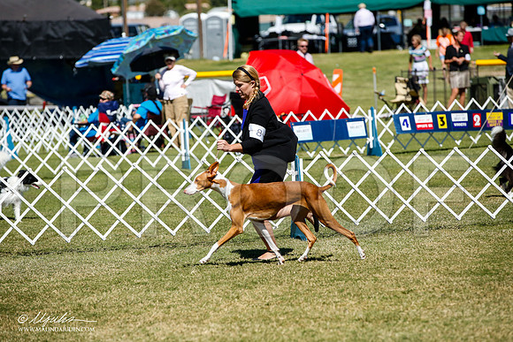 _JJ_0668-AlamogordoOct2014-HR3