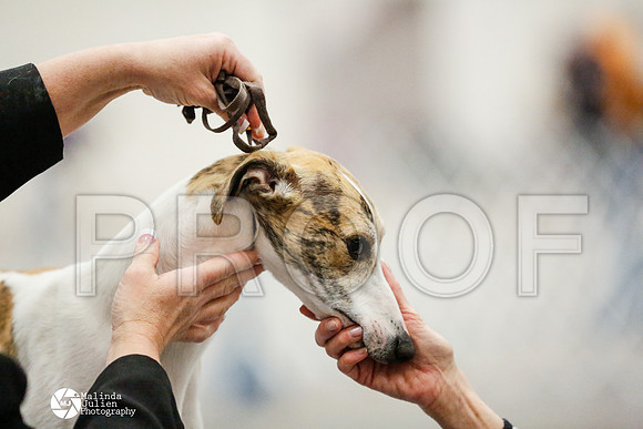 _RH_1863-AblnMay2014-web