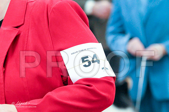 RBoV-6166