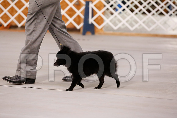 _RH_7849-CarlrolltonSept2014-HR3