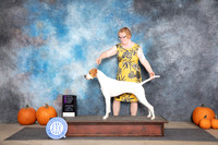 Pointer #6 OHG1 Judge Hal Biermann