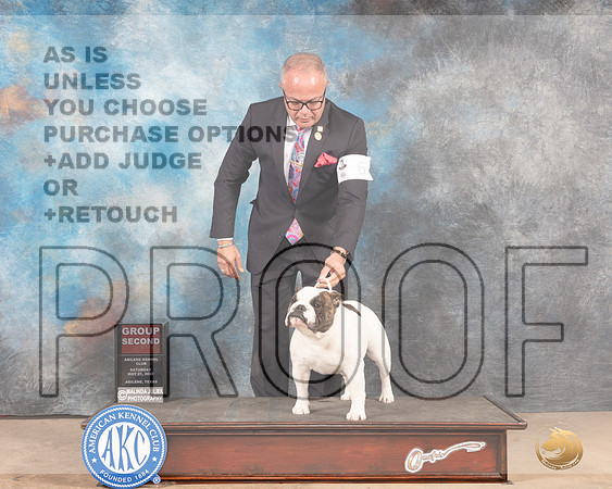 Bulldog #6 Sat G2 Judge Joan Liebes-MMJ_4183-Abilene2022-HR3