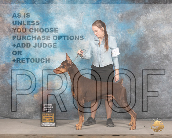 Doberman Pinscher #7 Thurs OHG3 Judge Peggy LloydMMJ_2504_Mdlnd2022_HR3