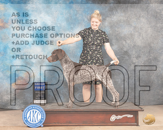 German Shorthaired Pointer #5 Fri G1 Judge Gloria Kerr-MMJ_3380-Addison2022-HR3