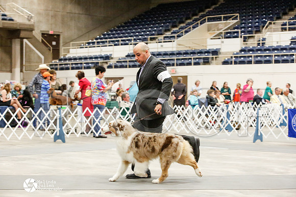 _JJ_1184-AblnMay2014-web