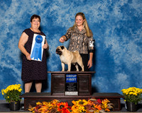 Pugs #5 Sat G1 Delisa Mary Holly Leftwich Judge Mrs Pamela B Peat