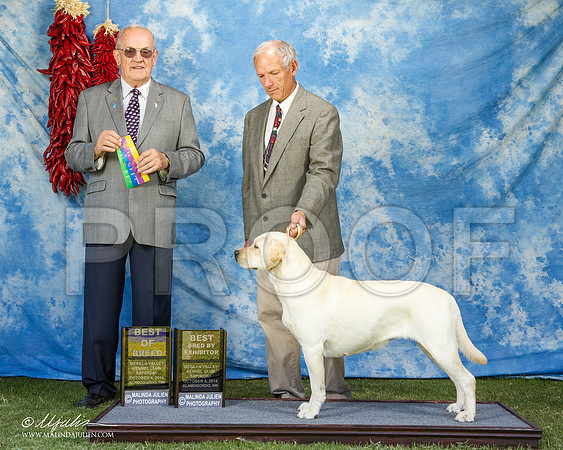 _ST_2871-AlamogordoOct2014-HR3