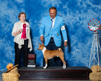 Basenji #5 Fri G2 Behles JD RJ Walley Judge Ms Laurie King Telfair