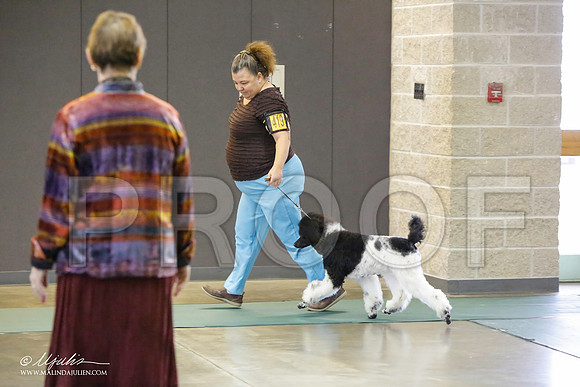 _LH_2848-BeltonJan2015-HR3